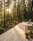 Lignum145_Tan_Terrasse 02 .webp