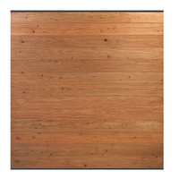 Sichtschutzzaun Nordstrand, Douglasie